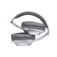 Panasonic RB-HX220B Auriculares Inalámbricos Ergonómicos Plata Panasonic RB-HX220B Auriculares Inalámbricos Ergonómicos Plata