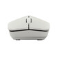 Rapoo M100 Silent Ratón Óptico Inalámbrico 1300DPI Gris Claro Rapoo M100 Silent Ratón Óptico Inalámbrico 1300DPI Gris Claro