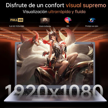 Portátil Vanwin NS215R-RTT 15.6" AMD Ryzen 5 5500U 16GB 512GB SSD FullHD Windows 11 Pro