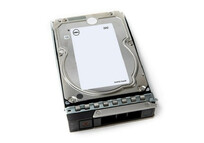 Disco duro Dell 161-BCJX 12TB 7200RPM 3.5" NL-SAS Hot-swap 12Gbps ISE