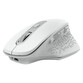 Trust Ozaa Ratón Ergonómico Inalámbrico 2400DPI Blanco Trust Ozaa Ratón Ergonómico Inalámbrico 2400DPI Blanco