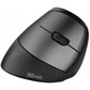 Trust Bayo Ratón Inalámbrico Ergonómico 2400DPI Trust Bayo Ratón Inalámbrico Ergonómico 2400DPI