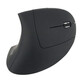 Equip 245110 Ratón Inalámbrico Ergonómico 1600DPI Negro Equip 245110 Ratón Inalámbrico Ergonómico 1600DPI Negro