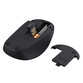 Trust TM-201 Ratón Inalámbrico Compacto 1600DPI Negro