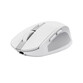 Ratón Trust inalámbrico 3200 DPI compacto Bluetooth + RF, botones silenciosos, recargable Ratón Trust inalámbrico 3200 DPI compacto Bluetooth + RF, botones silenciosos, recargable