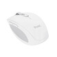 Ratón Trust inalámbrico 3200 DPI compacto Bluetooth + RF, botones silenciosos, recargable Ratón Trust inalámbrico 3200 DPI compacto Bluetooth + RF, botones silenciosos, recargable