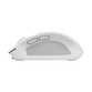 Ratón Trust inalámbrico 3200 DPI compacto Bluetooth + RF, botones silenciosos, recargable Ratón Trust inalámbrico 3200 DPI compacto Bluetooth + RF, botones silenciosos, recargable