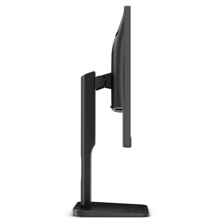 AOC Pro-line 24P1/GR 23.8" LED IPS FullHD Negro