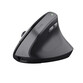 Trust Bayo II Ratón Vertical Inalámbrico Óptico para Mano Derecha 2400 DPI Negro Trust Bayo II Ratón Vertical Inalámbrico Óptico para Mano Derecha 2400 DPI Negro