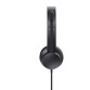 Trust HS-150 Auriculares Alámbrico de Oficina/Centro de llamadas 3.5mm para PC Negro Trust HS-150 Auriculares Alámbrico de Oficina/Centro de llamadas 3.5mm para PC Negro