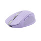 Ratón Trust inalámbrico 3200 DPI Bluetooth y RF, compacto, botones silenciosos, lila Ratón Trust inalámbrico 3200 DPI Bluetooth y RF, compacto, botones silenciosos, lila
