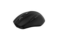 Ratón Trust inalámbrico 2200 DPI Silent 5 botones agarre ergonómico negro
