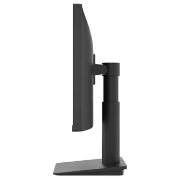 Monitor LG 25MS550-B 24.5" LED IPS FullHD 100Hz Altavoces Altura Ajustable