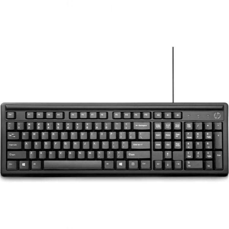 HP 100 Teclado USB Negro