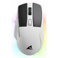 Ratón Sharkoon inalámbrico 6400 DPI RGB base carga dual modo PTFE PBT SGM50W Ratón Sharkoon inalámbrico 6400 DPI RGB base carga dual modo PTFE PBT SGM50W