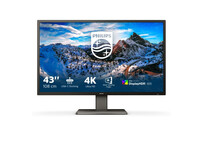 Philips P Line 439P1/00 42.5" LED UltraHD 4K HDR USB-C