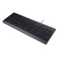 Lenovo Essential Teclado USB QWERTY Español Negro