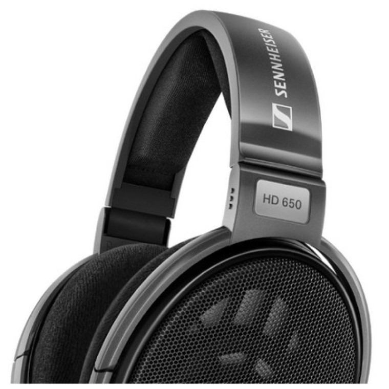 Sennheiser HD 650 Auriculares Overear con Cable Negros