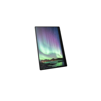 Monitor portátil Ricoh 150 OLED 15.6" Full HD Táctil 560g Altavoces USB Negro