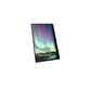 Monitor portátil Ricoh 150 OLED 15.6" Full HD Táctil 560g Altavoces USB Negro
