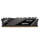 Netac Shadow DDR4 3200MHz 8GB CL16 Gris