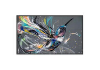 Monitor Philips 75BDL3511Q/00 75" UltraHD 4K 60Hz IPS Direct-lit LED 8ms