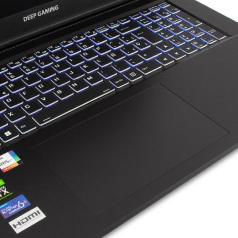 Deep Gaming Nubian 17 Intel Core i7-13700H/32GB/1TB SSD/RTX 3050/17.3" Teclado Francés