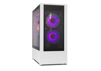 PC Racing Gaming AMD Ryzen 5 5600X/16GB/1TB SSD/GTX 1650