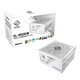 Fuente Alimentación Asrock 850W 80 PLUS Gold Steel Legend Blanca extras prote