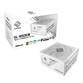 Fuente Alimentación Asrock 850W 80 PLUS Gold Steel Legend Blanca extras prote