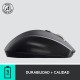 Logitech Marathon Mouse M705 Ratón Inalámbrico 1000 DPI Gris