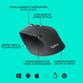 Logitech M720 Triathlon Ratón Inalámbrico Negro 1000DPI Logitech M720 Triathlon Ratón Inalámbrico Negro 1000DPI