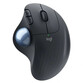 Logitech Ergo M575 Ratón Trackball Inalámbrico 2000DPI Gris