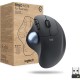 Logitech Ergo M575 para Empresa Ratón Inalámbrico Trackball 2000 DPI Grafito