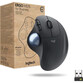 Logitech Ergo M575 para Empresa Ratón Inalámbrico Trackball 2000 DPI Grafito