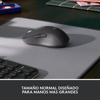 Logitech Signature M650 L Ratón Óptico Inalámbrico 2000DPI Gris Logitech Signature M650 L Ratón Óptico Inalámbrico 2000DPI Gris