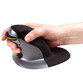 Fellowes Penguin M Ratón Vertical Inalámbrico 1200DPI Gris Fellowes Penguin M Ratón Vertical Inalámbrico 1200DPI Gris
