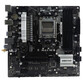 Placa Base Biostar A620MP-E Pro