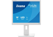 Monitor iiyama ProLite B1980S-W1 19" TN SXGA 75Hz Altavoces Altura Ajustable