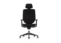 Silla ergonómica BS12 Pro (BS12 Pro)