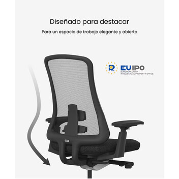 Silla ergonómica con estética y artesanía (Sheer BS13W-GRY)