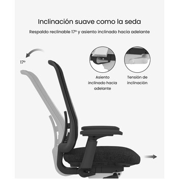 Silla ergonómica con estética y artesanía (Sheer BS13W-GRY)