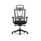 Silla Ergonómica BS14 de Cuidado Dinámico Profesional (BS14) Silla Ergonómica BS14 de Cuidado Dinámico Profesional (BS14)