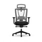 Silla Ergonómica BS14 de Cuidado Dinámico Profesional (BS14) (BS14B-EU) Silla Ergonómica BS14 de Cuidado Dinámico Profesional (BS14) (BS14B-EU)