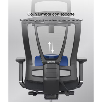 Silla Ergonómica BS14 de Cuidado Dinámico Profesional (BS14) (BS14B-EU) Silla Ergonómica BS14 de Cuidado Dinámico Profesional (BS14) (BS14B-EU)