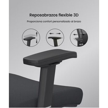 Silla Ergonómica BS14 de Cuidado Dinámico Profesional (BS14) (BS14B-EU) Silla Ergonómica BS14 de Cuidado Dinámico Profesional (BS14) (BS14B-EU)