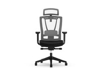 Silla Ergonómica BS14 de Cuidado Dinámico Profesional (BS14)(BS14G-EU)