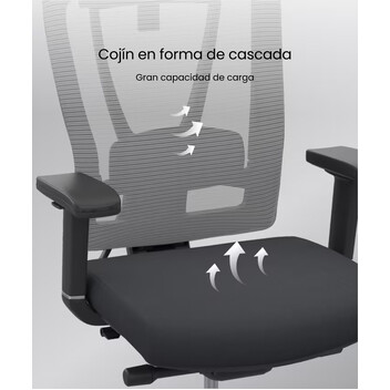 Silla Ergonómica BS14 de Cuidado Dinámico Profesional (BS14)(BS14G-EU) Silla Ergonómica BS14 de Cuidado Dinámico Profesional (BS14)(BS14G-EU)