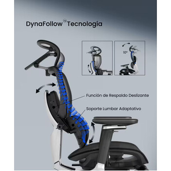Silla Ergonómica con Sistema de Respaldo Dinámico (C7 Morpher BS18B-B-FM-FT)