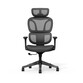 Silla Ergonómica Colorida con Cojín Parecido a Una Nube (BS5 BS5LG)